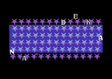 Chasing Rainbows 70%