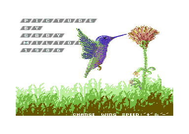 Humming Bird