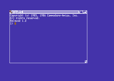 Amiga Emulator V1