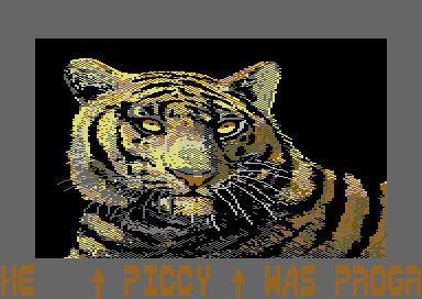 Tiger