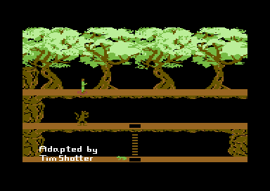 Pitfall2