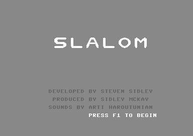 Slalom